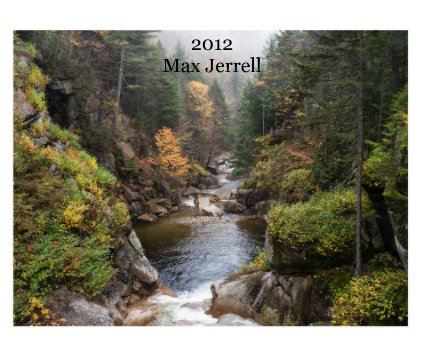 2012 Max Jerrell book cover