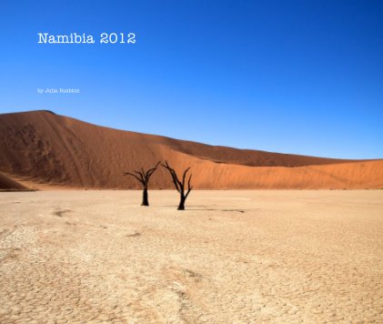 Namibia 2012 book cover