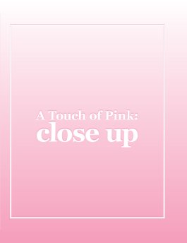 Touch of Pink : Close Up book cover