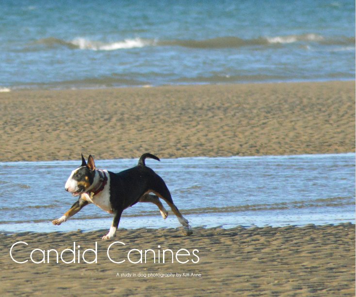 Visualizza Candid Canines di Kitt Anne
