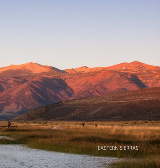 View Eastern Sierras by Toma Kostygina