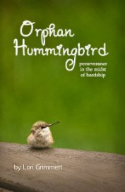 Orphan Hummingbird book cover