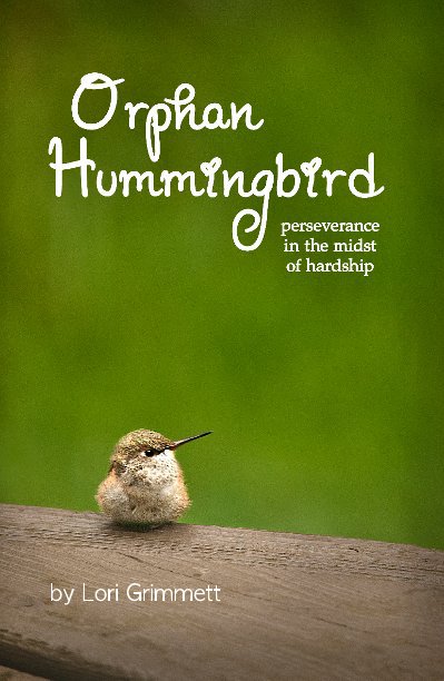 Ver Orphan Hummingbird por Lori Grimmett