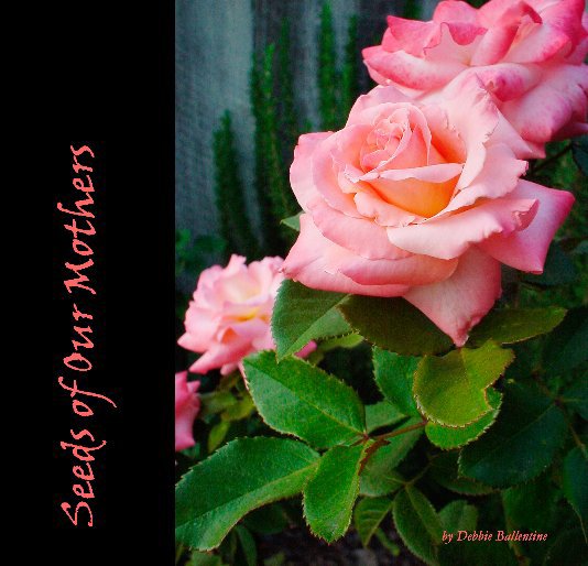 View Seeds of Our Mothers ~ Hardcover by Debbie Ballentine