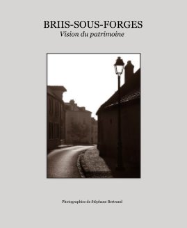 BRIIS-SOUS-FORGES Vision du patrimoine book cover