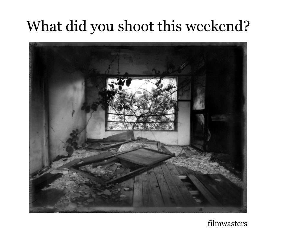 Ver What did you shoot this weekend? por filmwasters