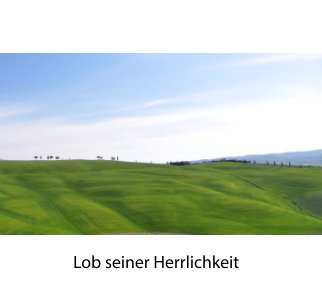 Lob seiner Herrlichkeit book cover