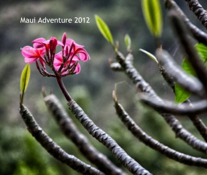 Maui Adventure 2012 book cover
