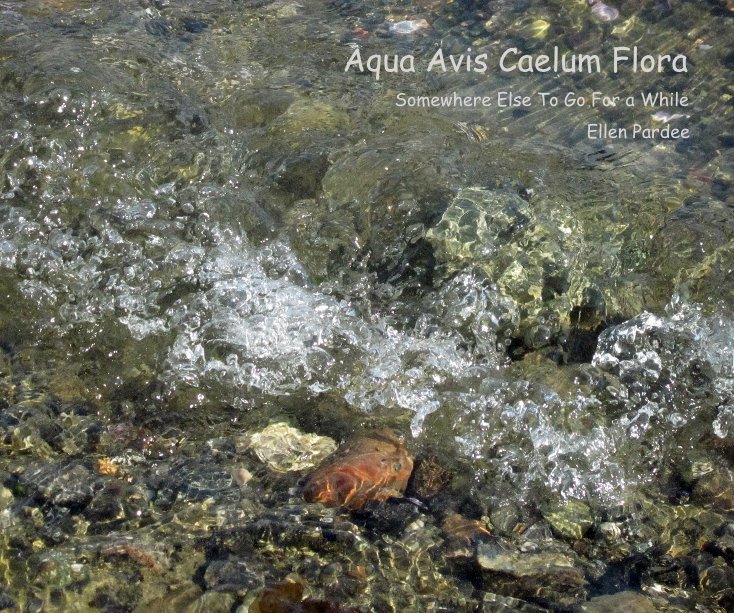 View Aqua Avis Caelum Flora by Ellen Pardee