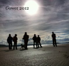 Gower 2012 book cover