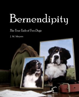 Bernendipity book cover