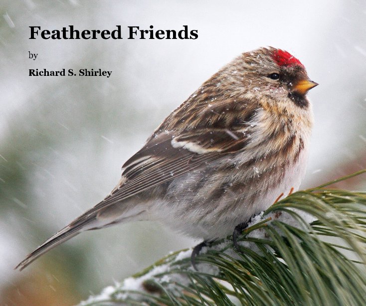 View Feathered Friends by Richard S. Shirley