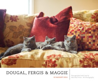 Dougal, Fergis & Maggie book cover