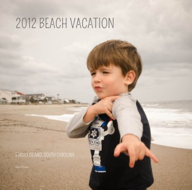 2012 BEACH VACATION book cover