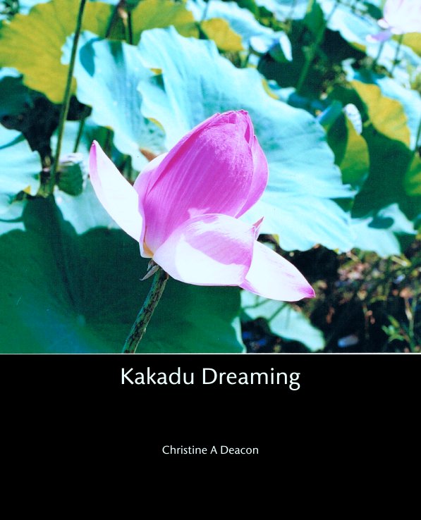 View Kakadu Dreaming by Christine A Deacon