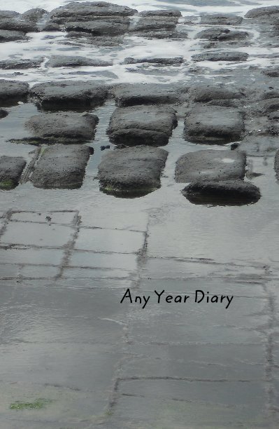 View Any Year Diary by Teresa Meader