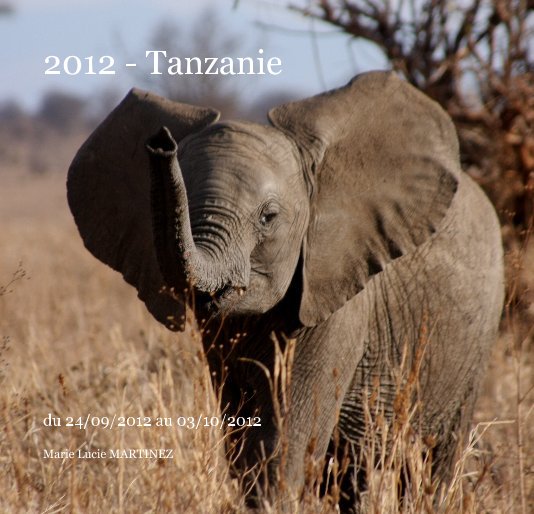 View 2012 - Tanzanie by Marie Lucie MARTINEZ