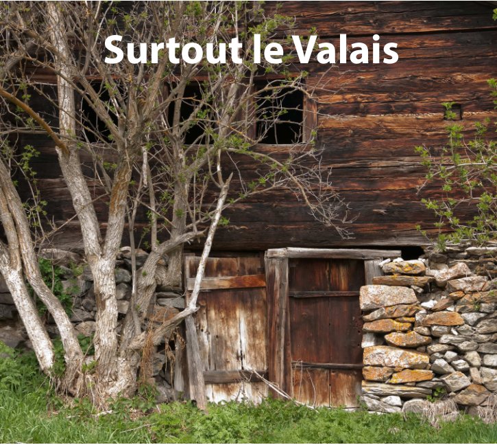 View Surtout le Valais by Maurice Perry