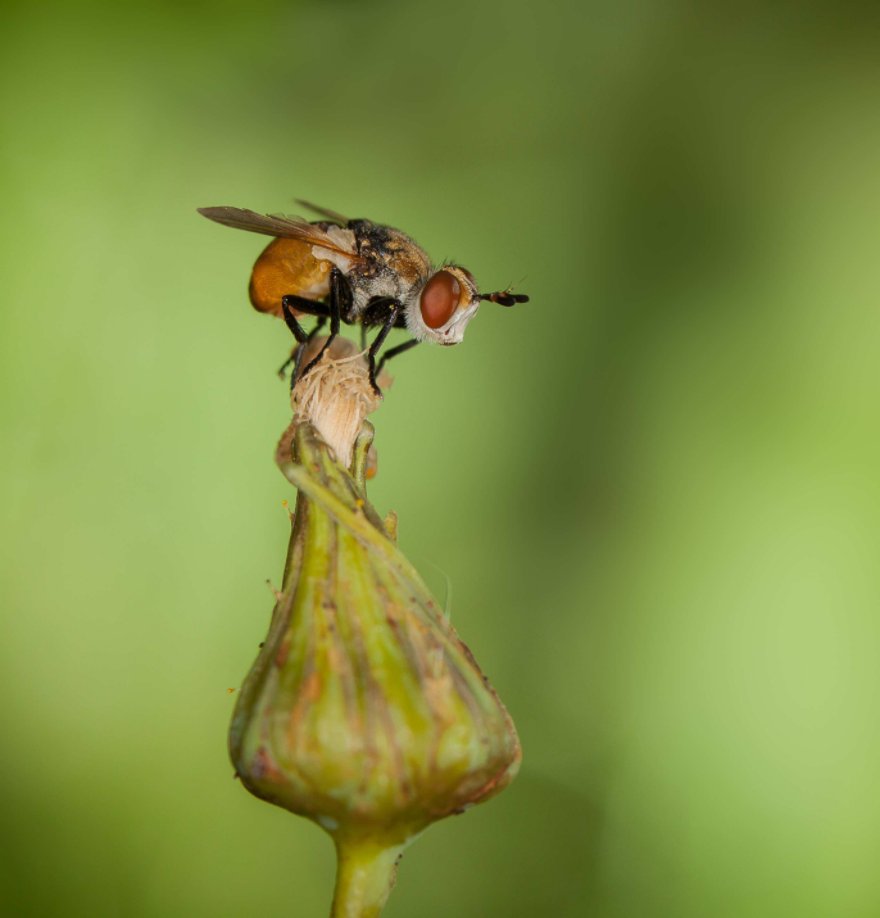 Ver Anniversaire Maman por www.ouiouiphoto.fr