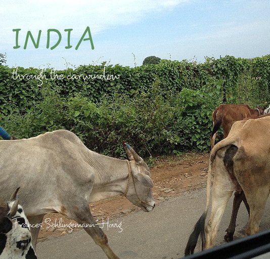 View INDIA through the carwindow by Frances Schlingemann-Hovig