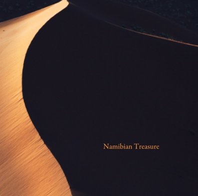 Namibian Treasure book cover