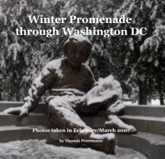 Winter Promenade through Washington DC book cover