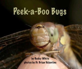 Peek-a-Boo Bugs book cover