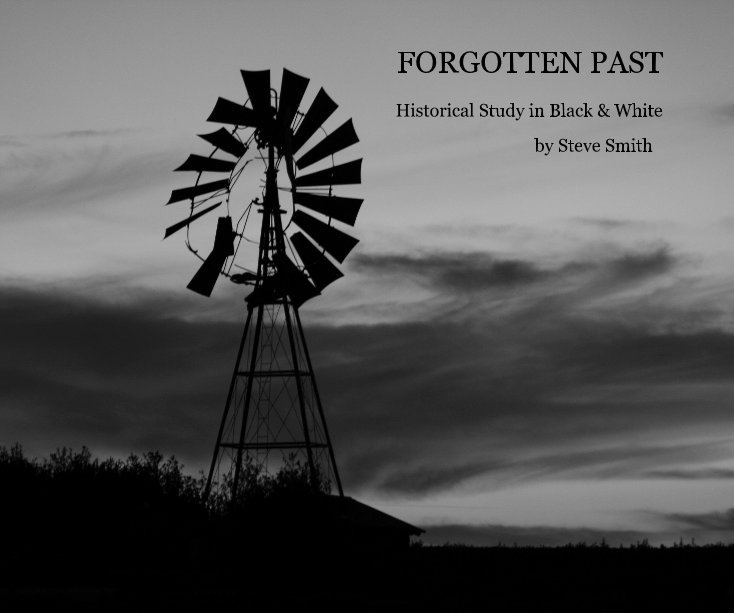 View FORGOTTEN PAST by Steve Smith