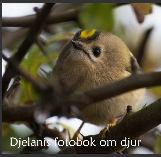 Ver Djelanis fotobok om djur por Lars-Olof Sandberg