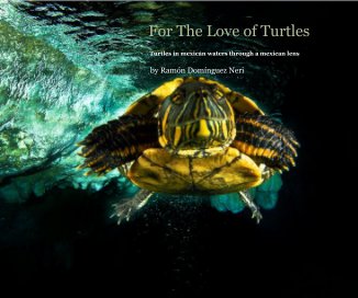 for the love of turtles 3 book cover