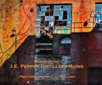 Images of the J.E. Pepper Distillery Ruins book cover