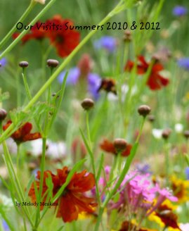 Our Visits: Summers 2010 & 2012 book cover