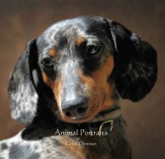 Animal Portraits book cover