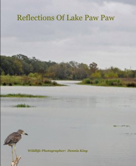 Reflections Of Lake Paw Paw book cover