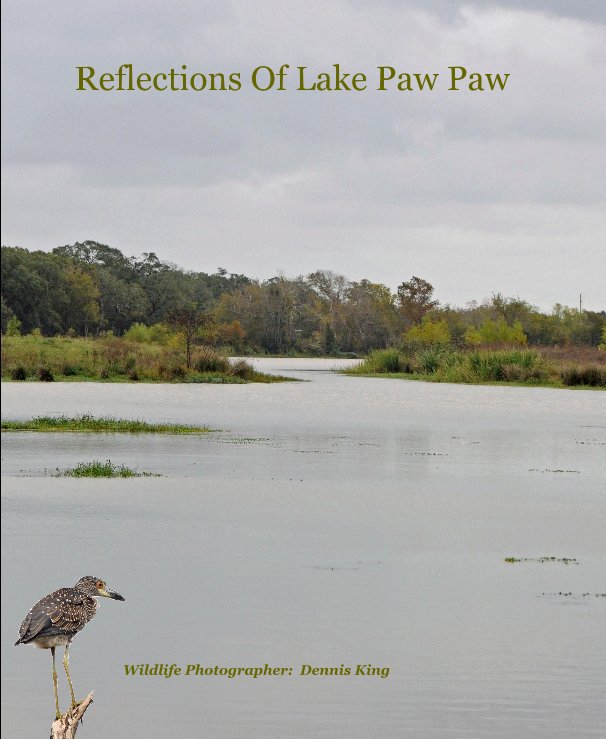 Ver Reflections Of Lake Paw Paw por Dennis King