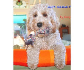 LEO'S JOURNEY book cover