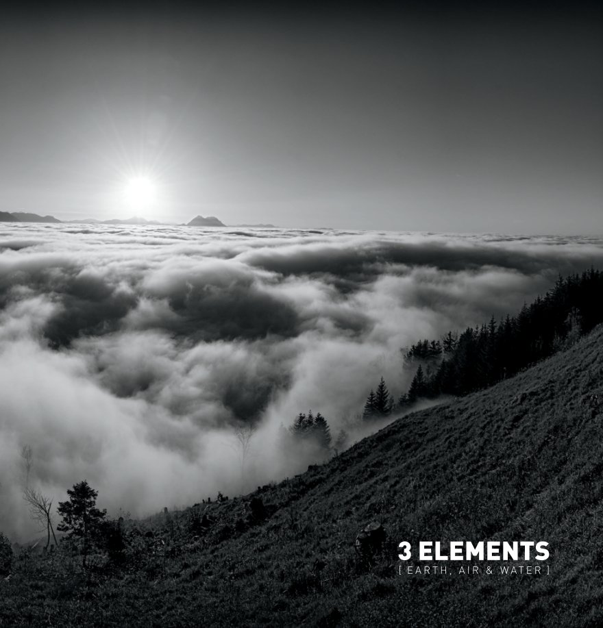 Visualizza 3 Elements di Mike Jungwirth