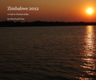 Zimbabwe 2012 book cover