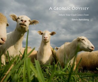 A Georgic Odyssey book cover