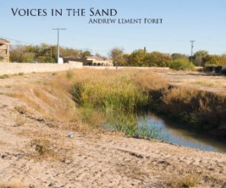 Voices In the Sand book cover
