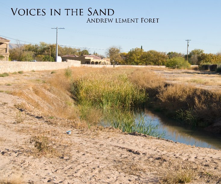 View Voices In the Sand by Andrew Lement Foret