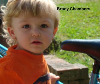 Brady Chambers 2 book cover