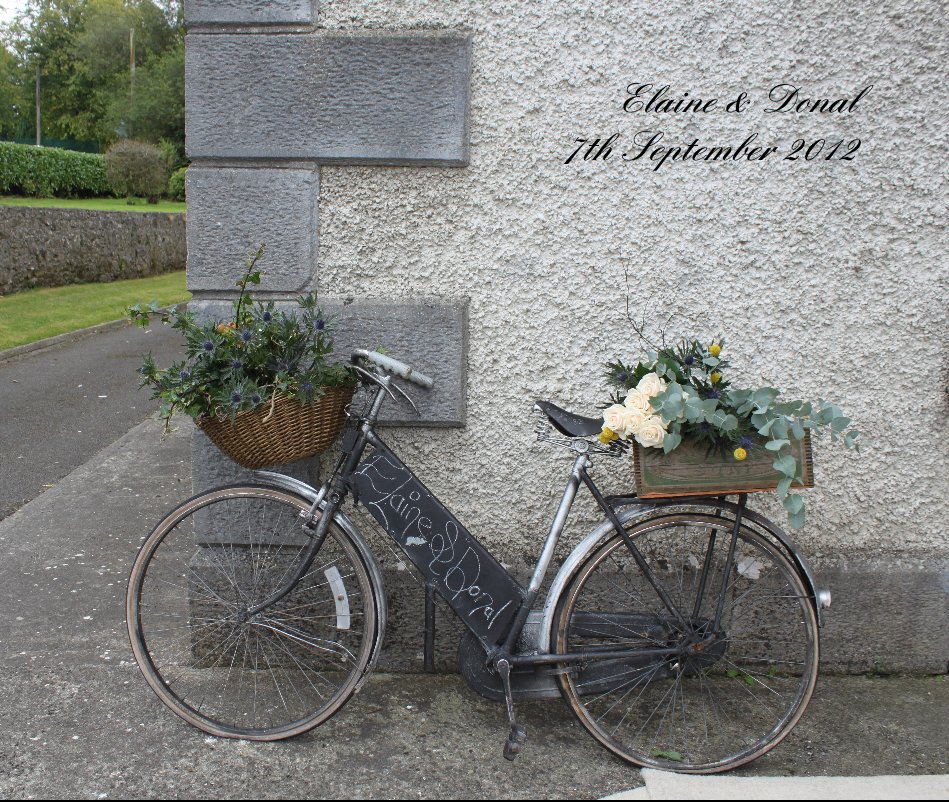View Elaine & Donal 7th September 2012 by Niamh Haskins