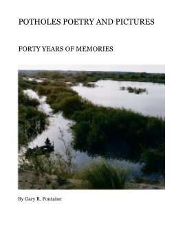 POTHOLES POETRY AND PICTURES book cover