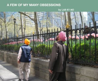 A FEW OF MY MANY OBSESSIONS book cover