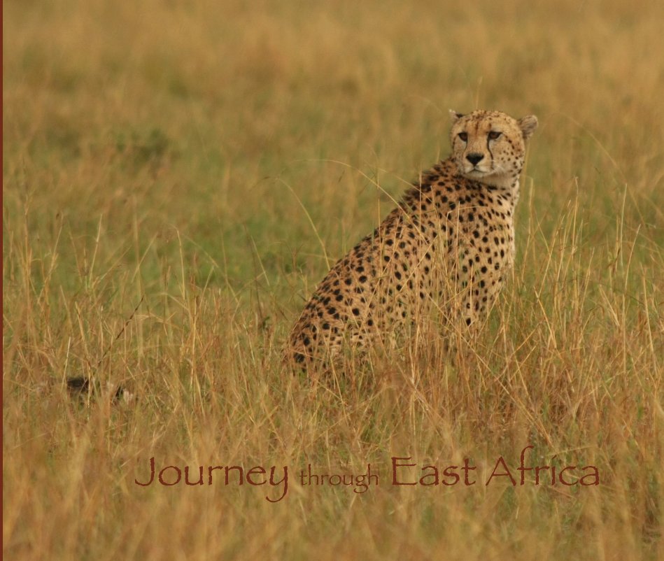 Ver Journey through East Africa por Lisa M. Sullivan
