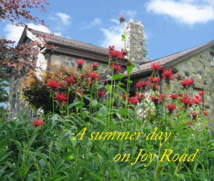 A summer day on Joy Road book cover