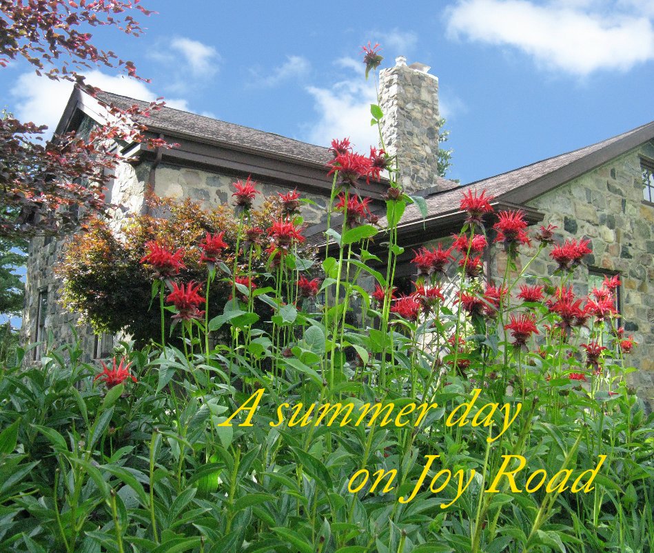 Ver A summer day on Joy Road por secallard