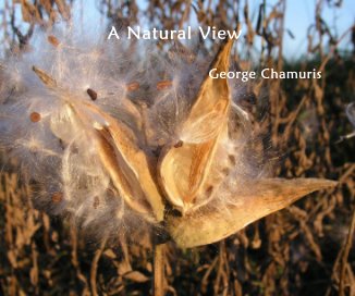 A Natural View book cover