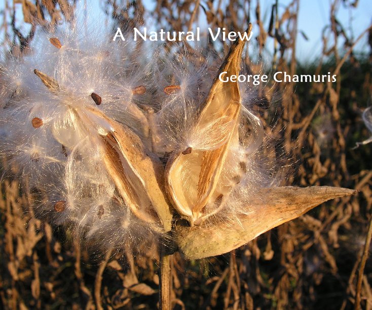 View A Natural View by George Chamuris